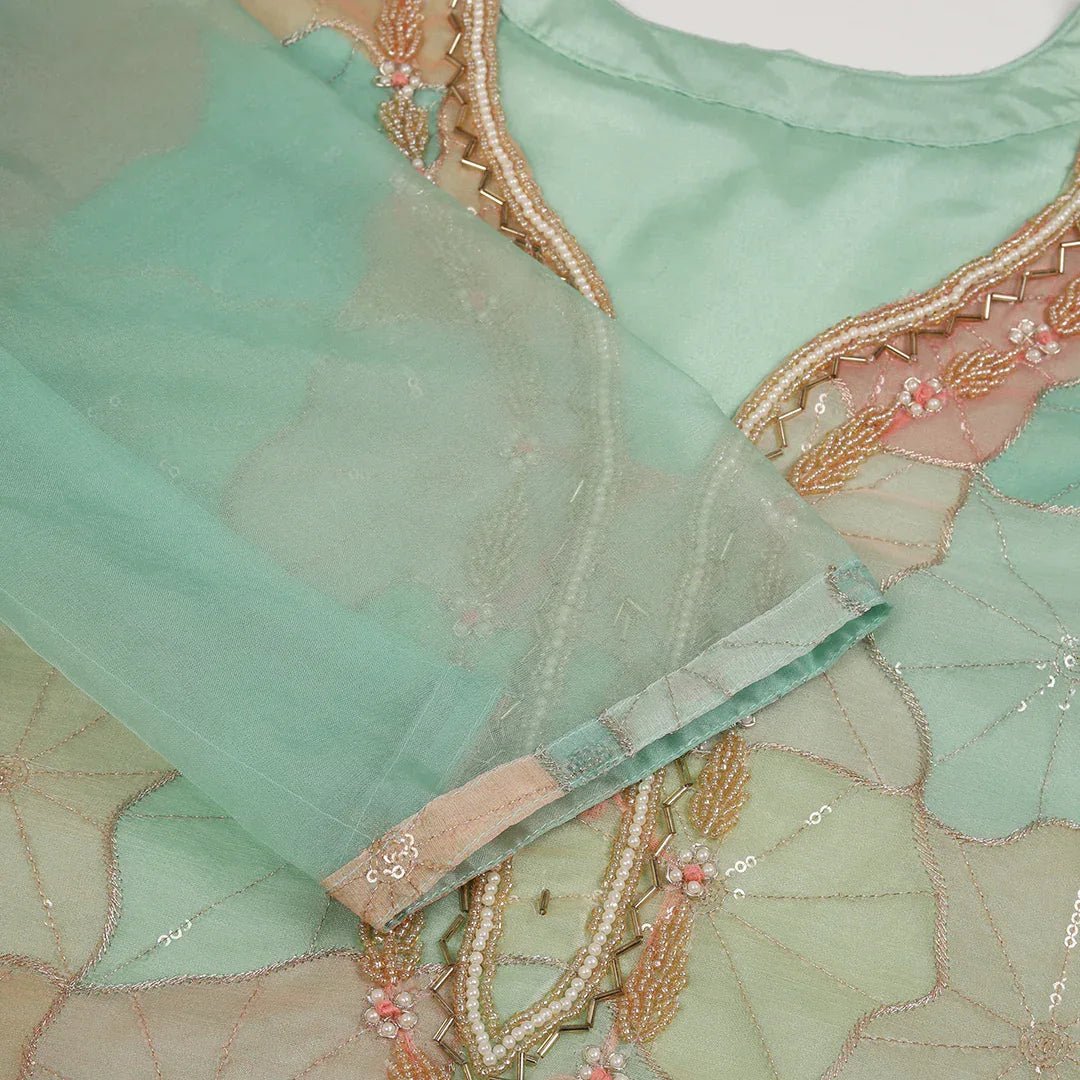 Printed Organza Suit