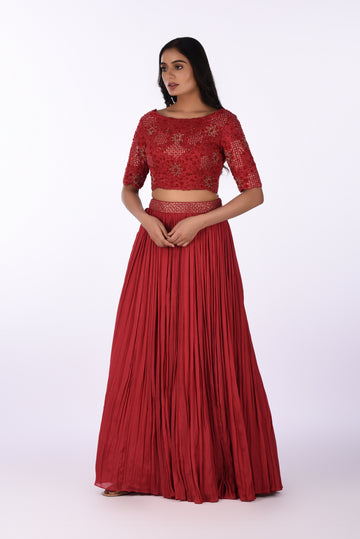 Crop Top  With Skirt Festive Embroidered Crop Top with Flared Pleated Skirt