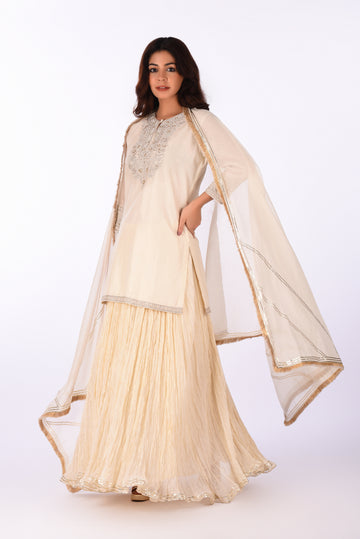 Kurti With Skirt Ivory Straight Kurta Set With Crushed Skirt