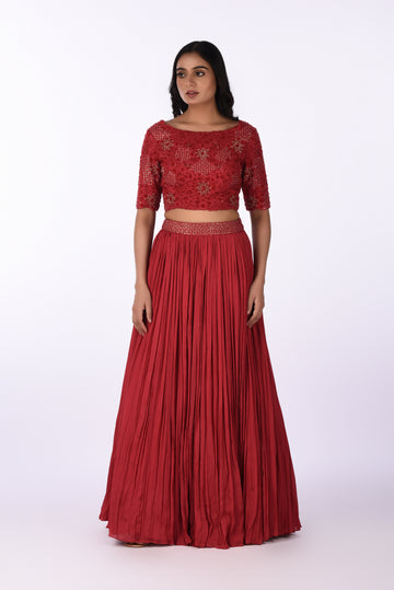 Crop Top  With Skirt Festive Embroidered Crop Top with Flared Pleated Skirt
