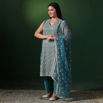 Chiffon thread embroidered suit