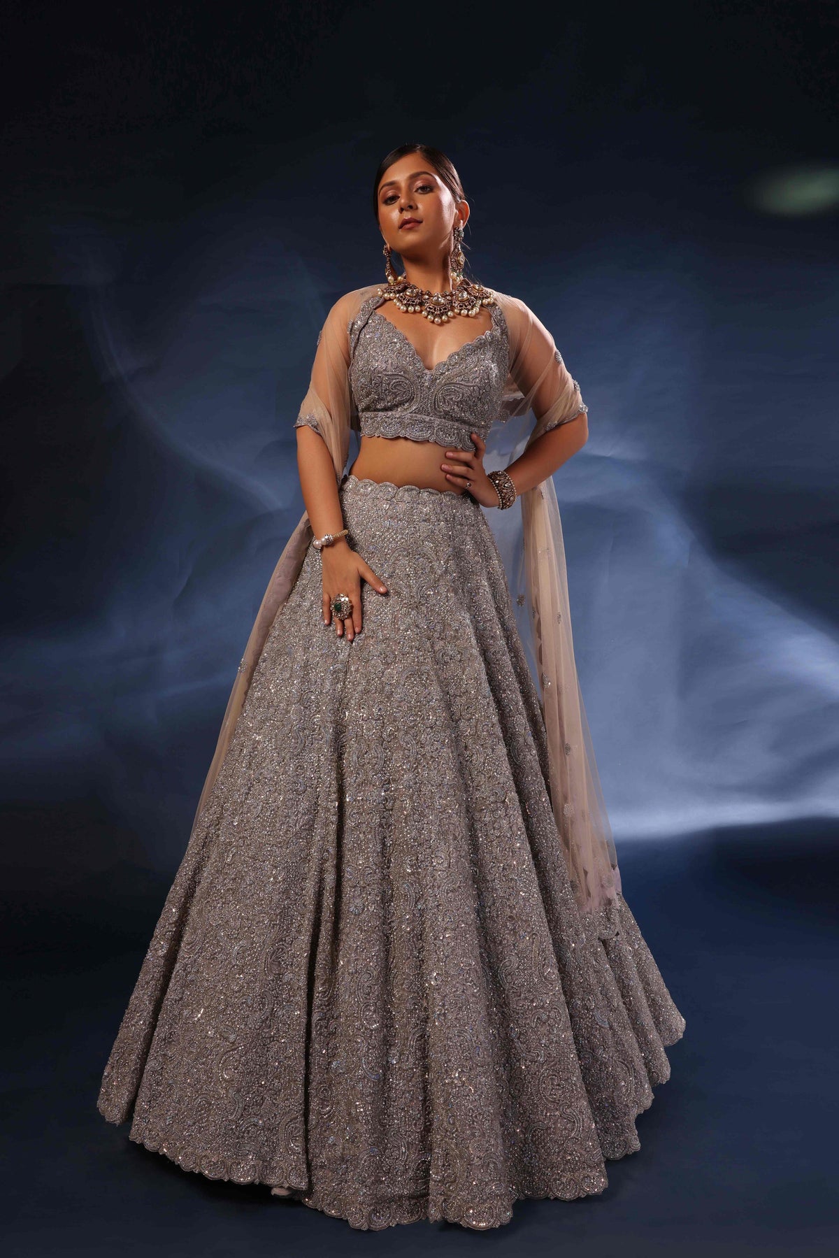 Silver Lehenga Embellishments