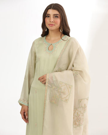 Graceful Pista Green Organza Kurta Set With Fine Embroidery