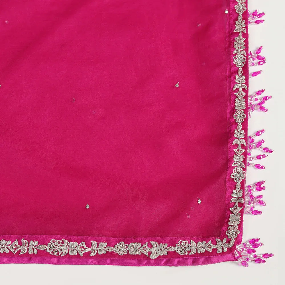 Fuchsia Organza Suit